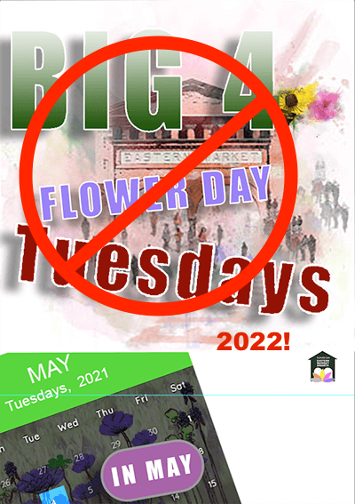 Big 4 Tuesdays  Flower Day